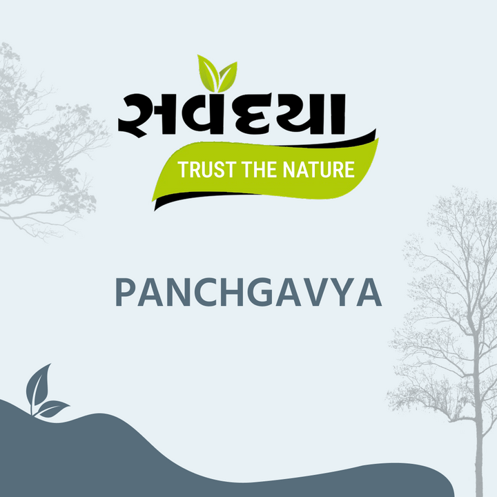 Panchgavya Hair Oil